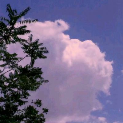 弑血传奇公测版下载